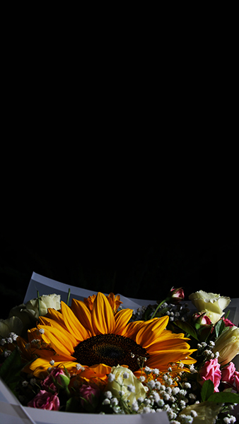 دسته‌ گل آفتابگردان - 3