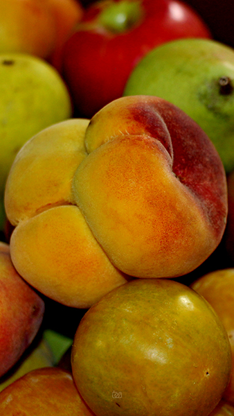 fruit