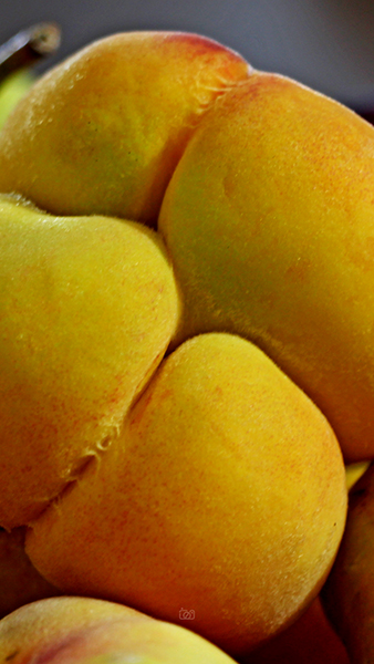 fruit