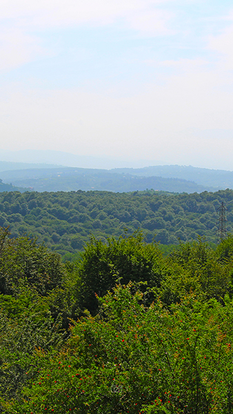 بابلکنار-بزچفت-2 بابلکنار-بزچفت-2