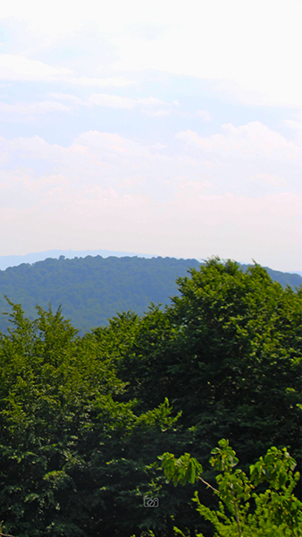 بابلکنار-بزچفت-5 بابلکنار-بزچفت-5