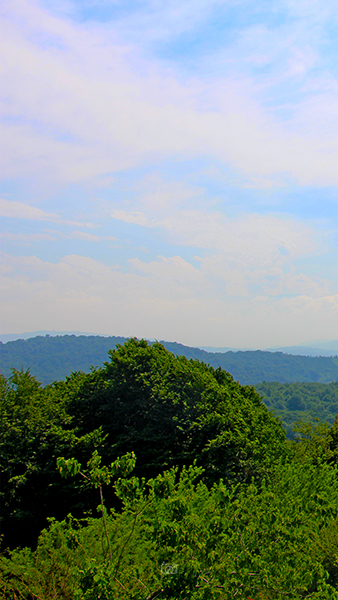 بابلکنار-بزچفت-4 بابلکنار-بزچفت-4