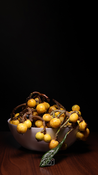 Fruit