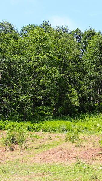 بابلکنار-بزچفت-8 بابلکنار-بزچفت-8