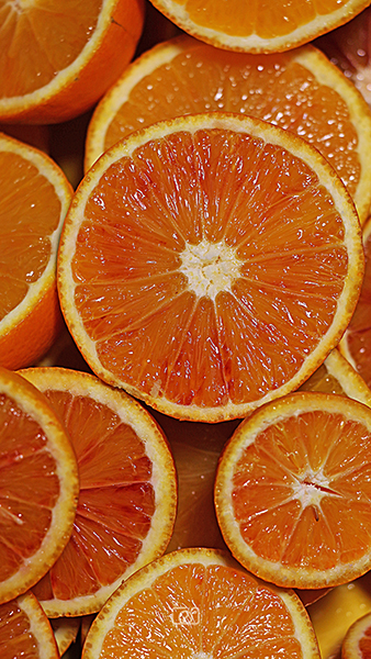 Fruit