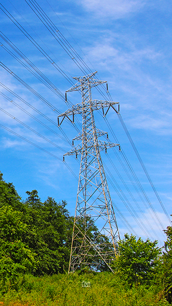 بابلکنار-بزچفت-9 بابلکنار-بزچفت-9